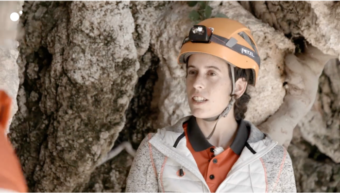 volando voy calleja cuatro